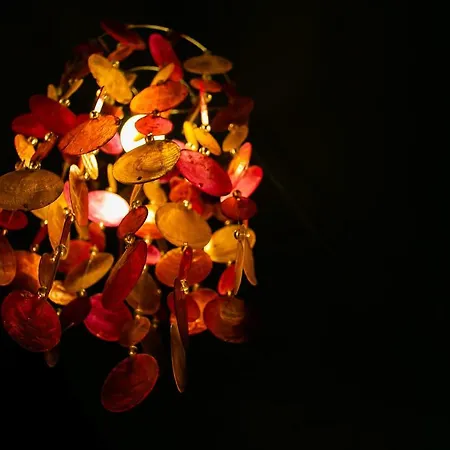 La Corte קיוג'ה